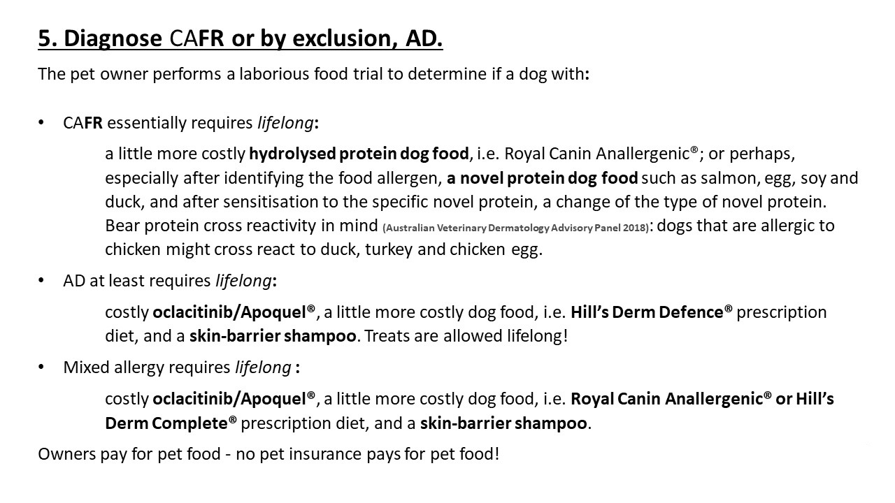 Pruritic_Dog_Webinar_Slide_45.jpg